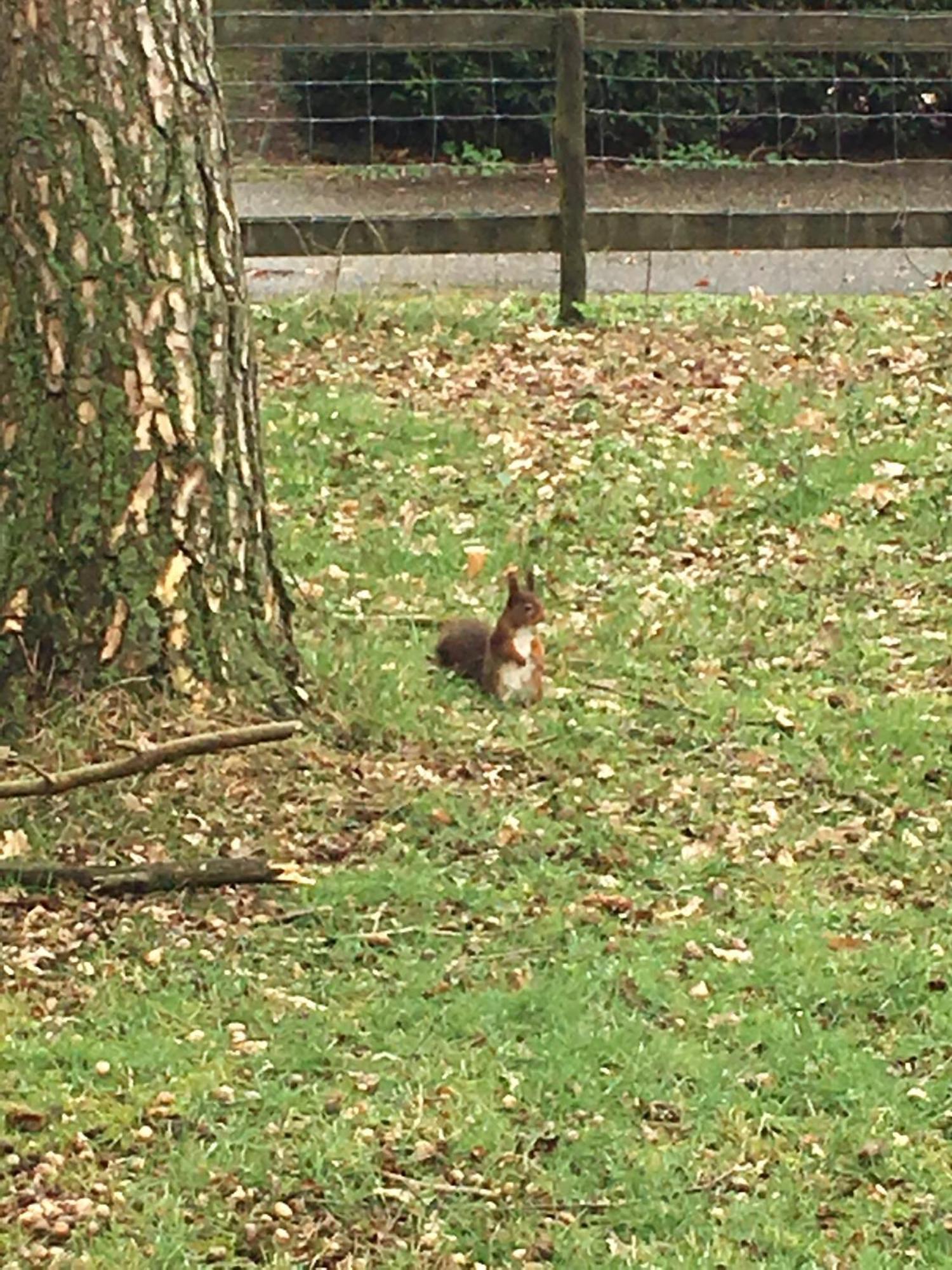 Willa Casa Vogelenzang Otterlo Zewnętrze zdjęcie